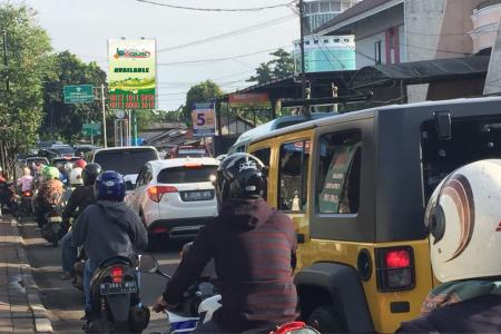 JKT01