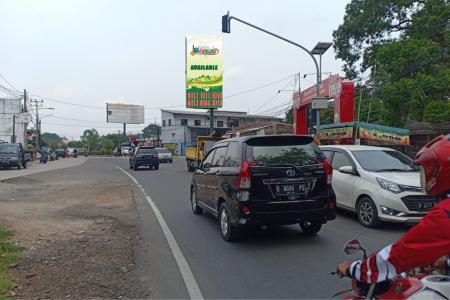 TNGKT13B